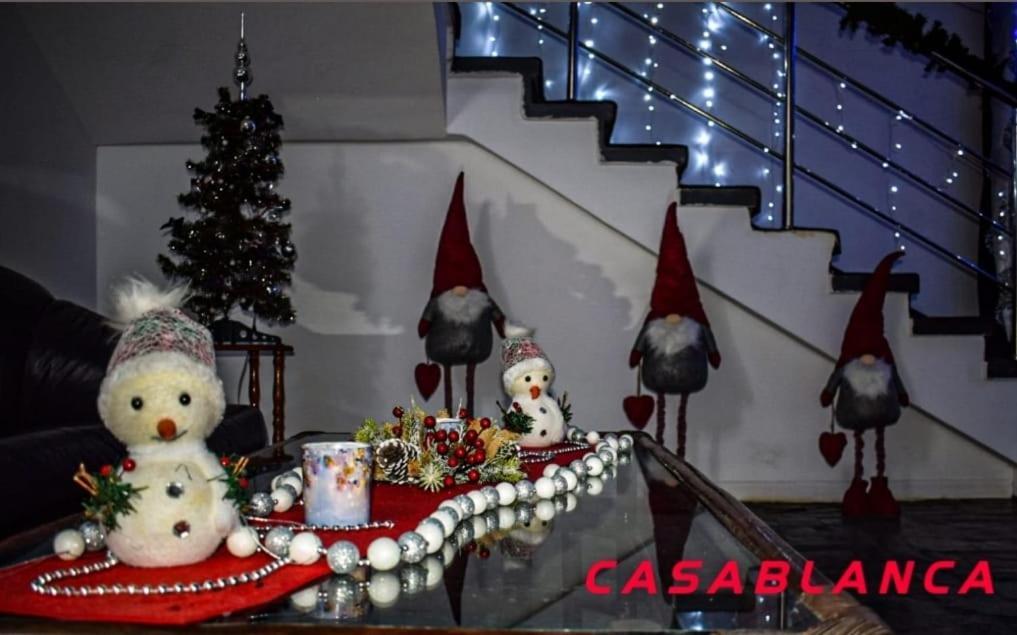 Casablanca Hostel Craiova Luaran gambar
