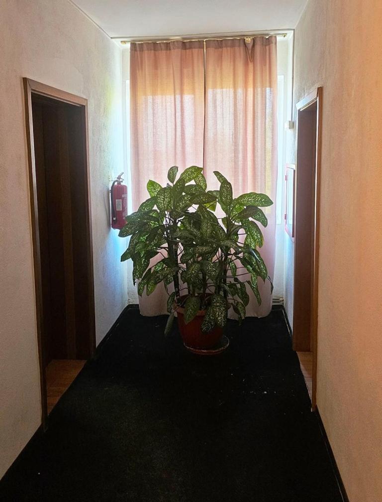 Casablanca Hostel Craiova Luaran gambar